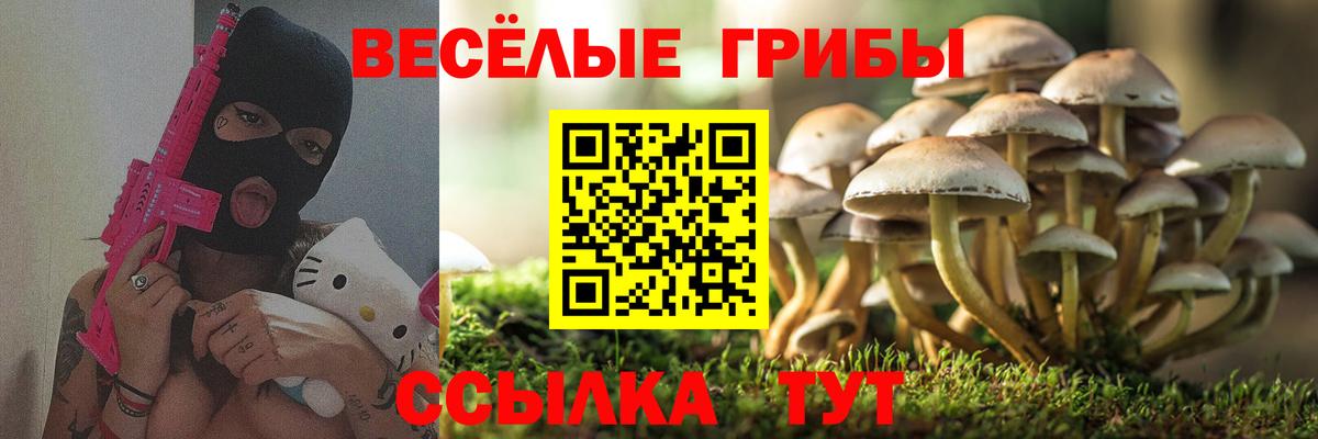 Губаха  Галлюциногенные грибы Cubensis  Вход с VPN  Галлюциногенные грибы GOLDEN TEACHER 